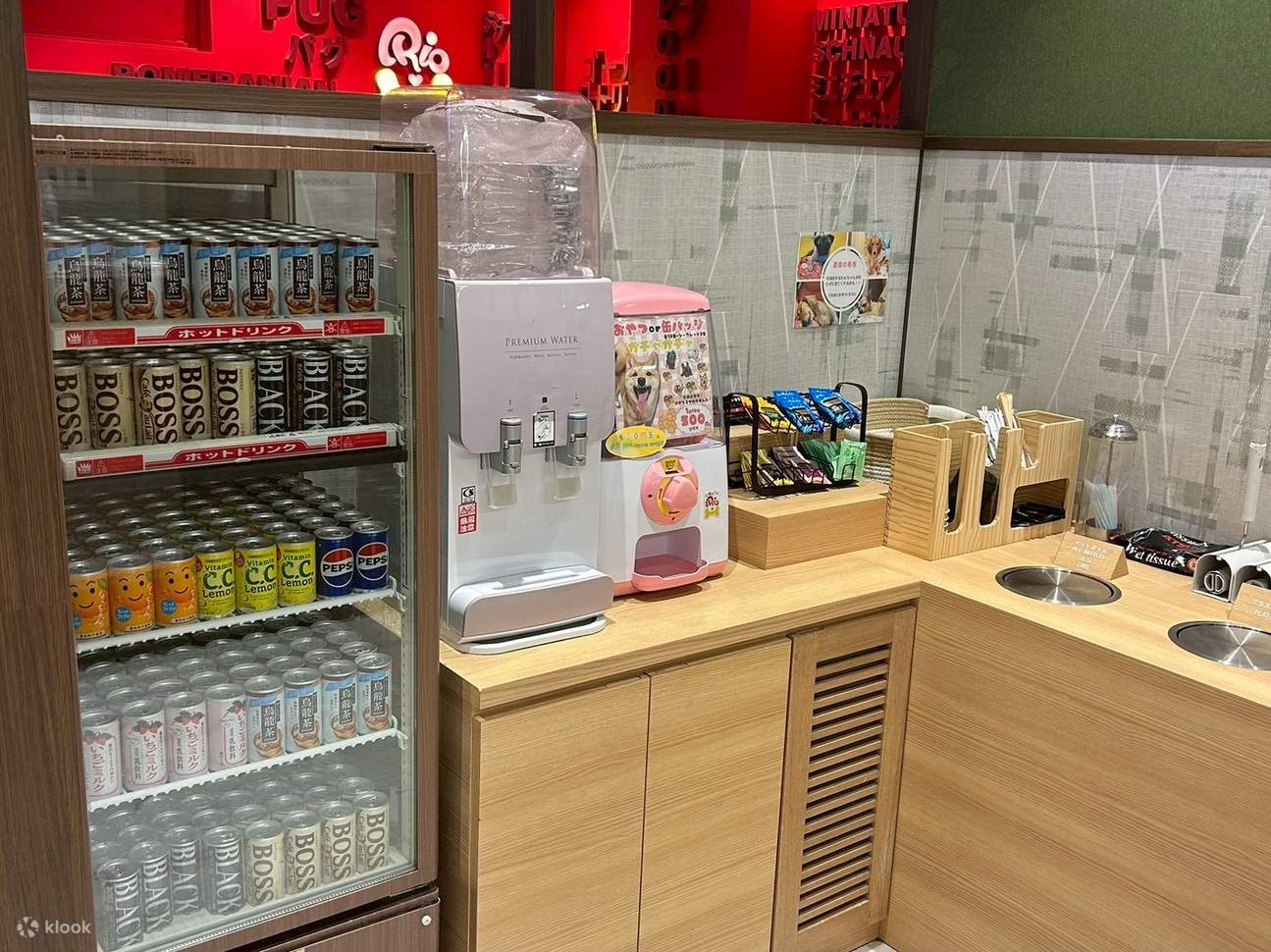 Play with Dogs at Dog Cafe Rio Kyoto[Dog Cafe Rio Kyoto] - Klook